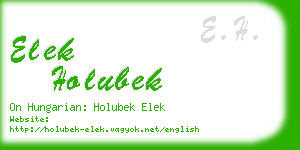 elek holubek business card
